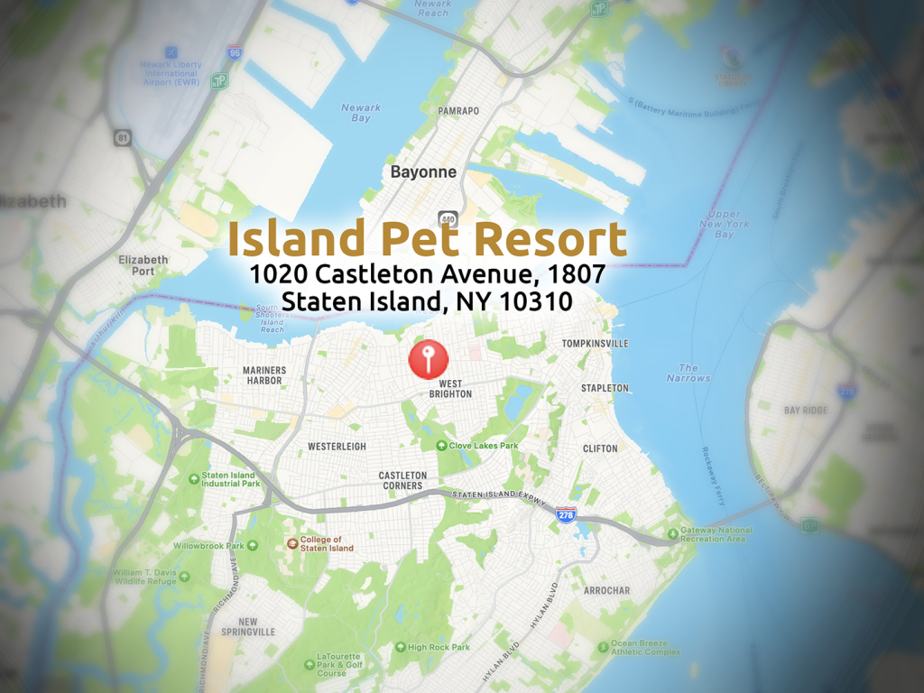 Island Pet Resort Location